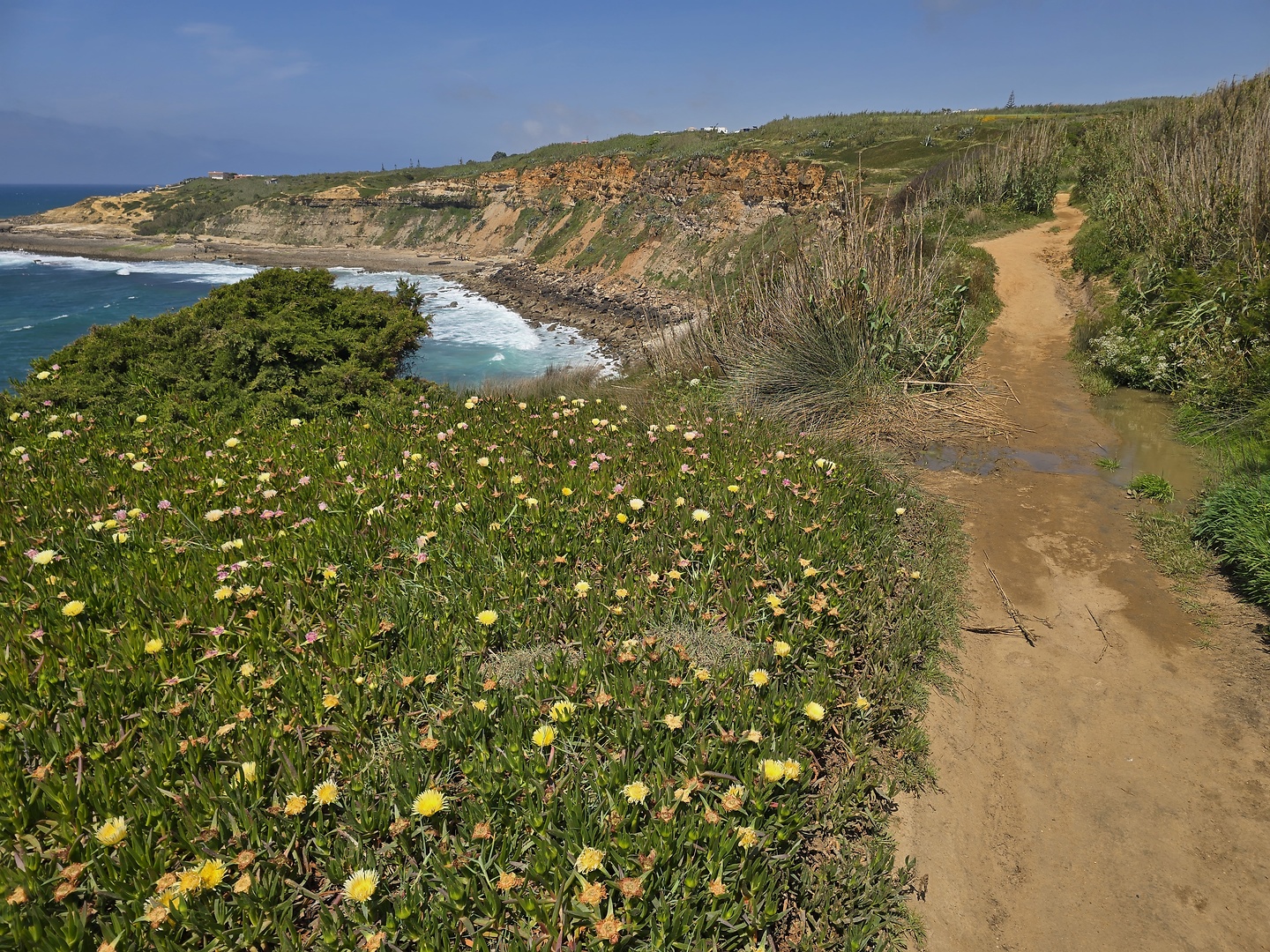 iberix-ericeira10.jpg
