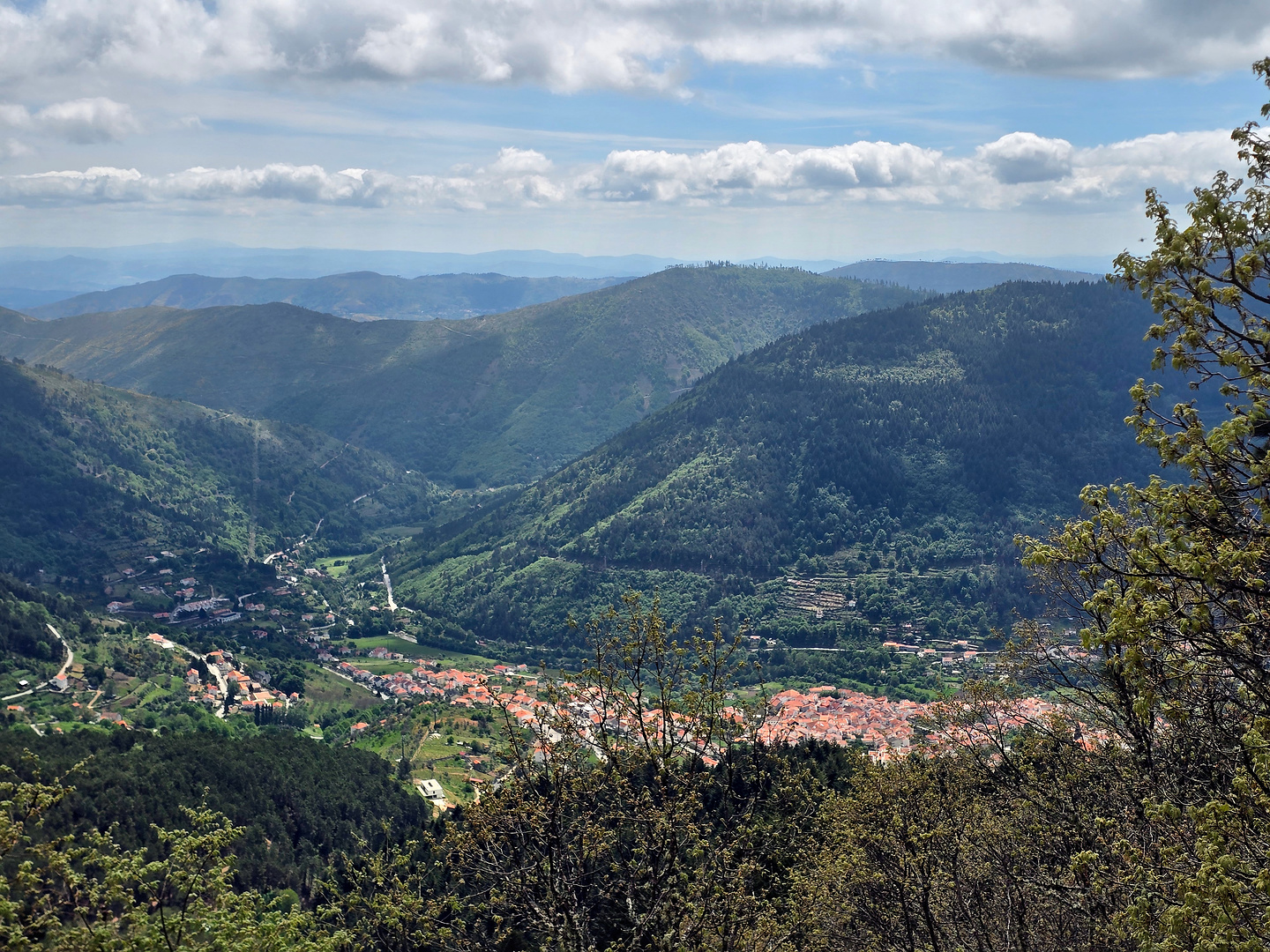 iberix-estrela26.jpg