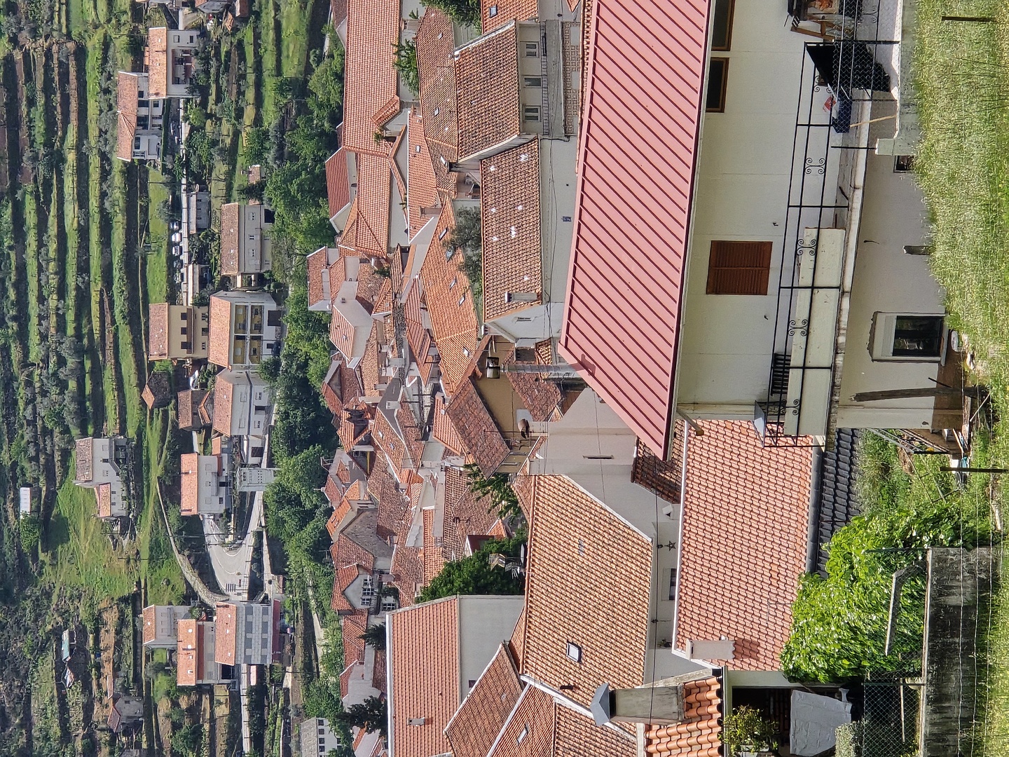 iberix-estrela29.jpg