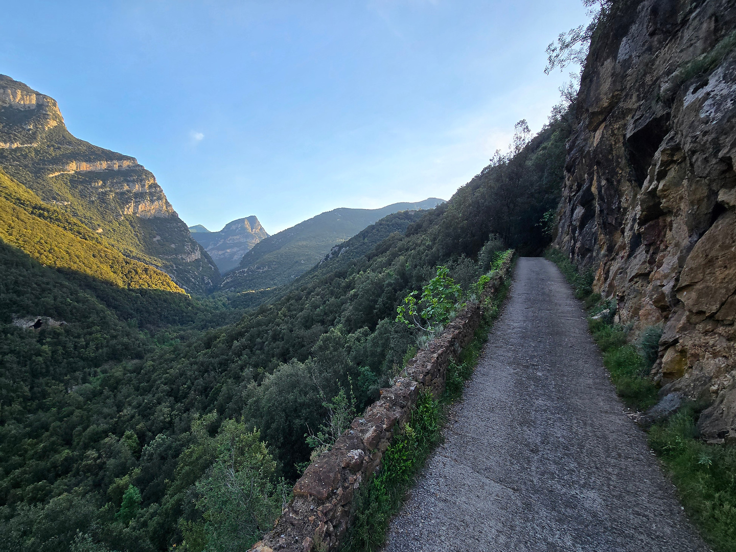 iberix-garrotxa11.jpg