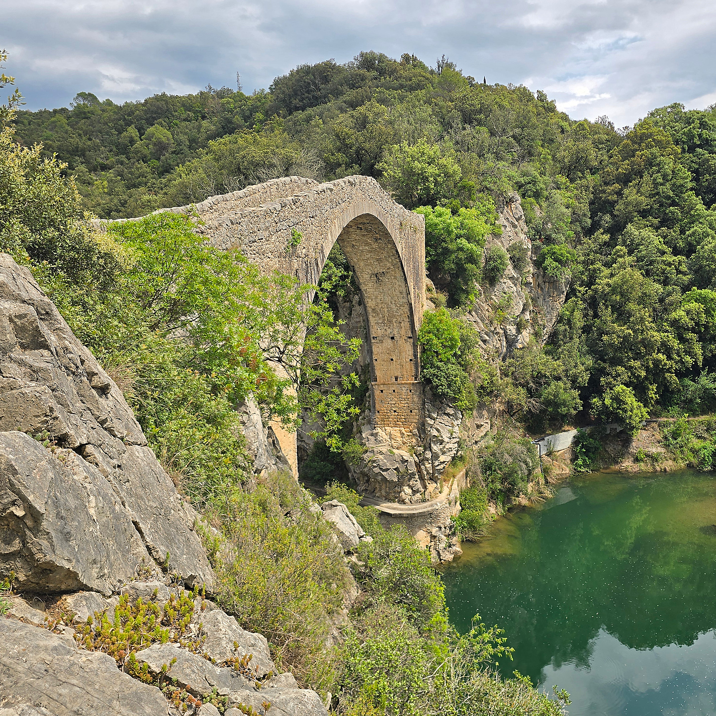iberix-garrotxa5.jpg