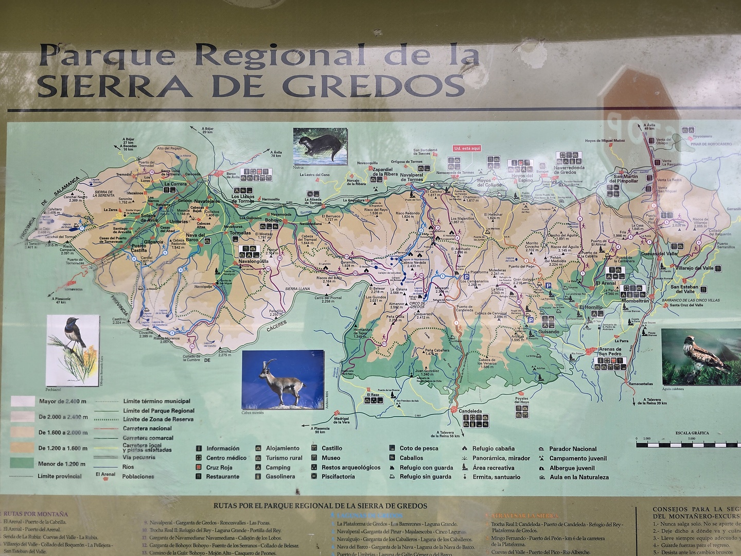 iberix-gredos2.jpg