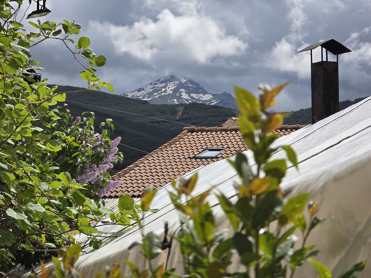 iberix-gredos3.jpg