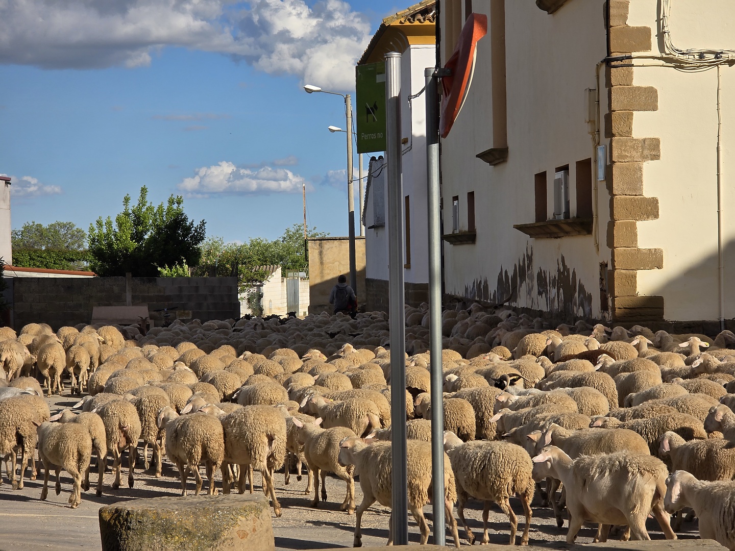 iberix-huesca4.jpg