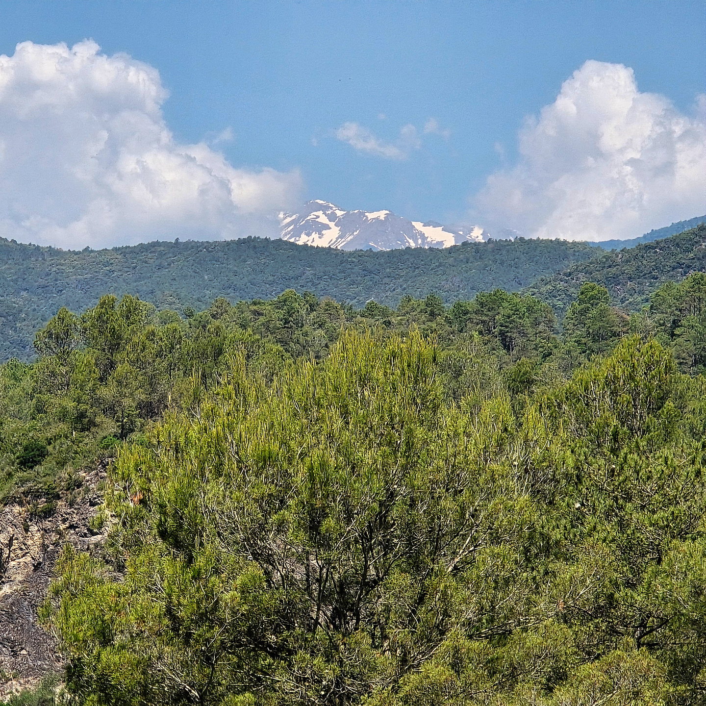 iberix-muga2.jpg