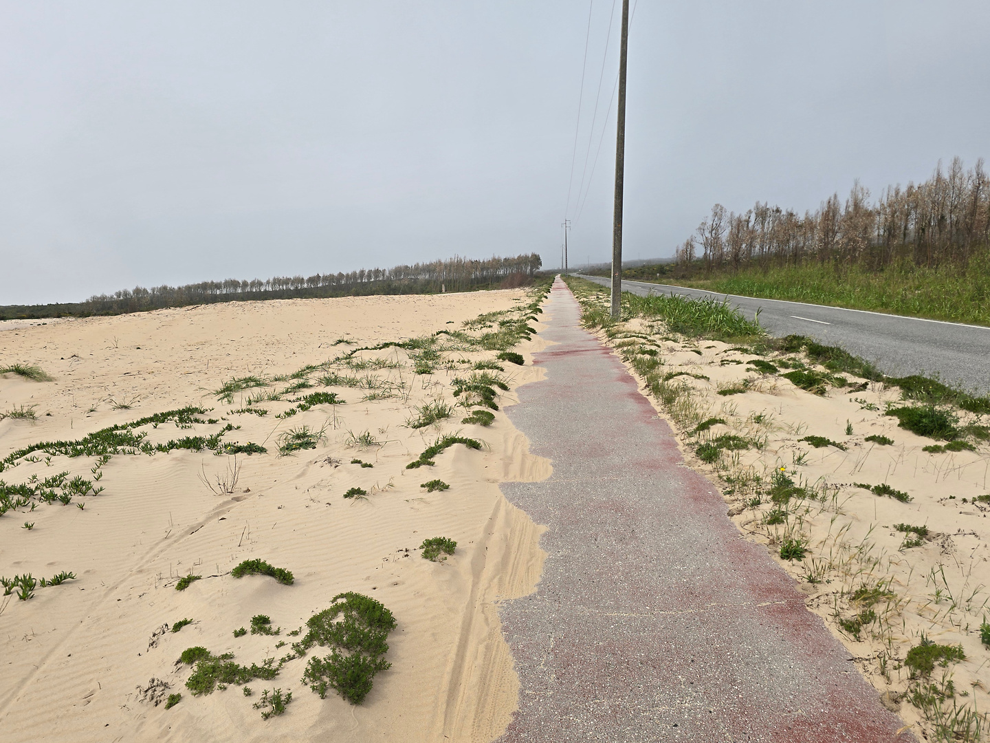 iberix-nazare11.jpg