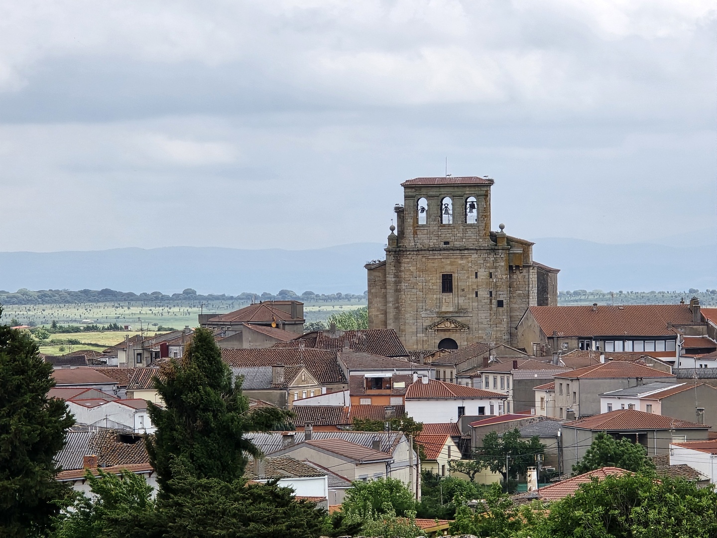 iberix-robleda6.jpg