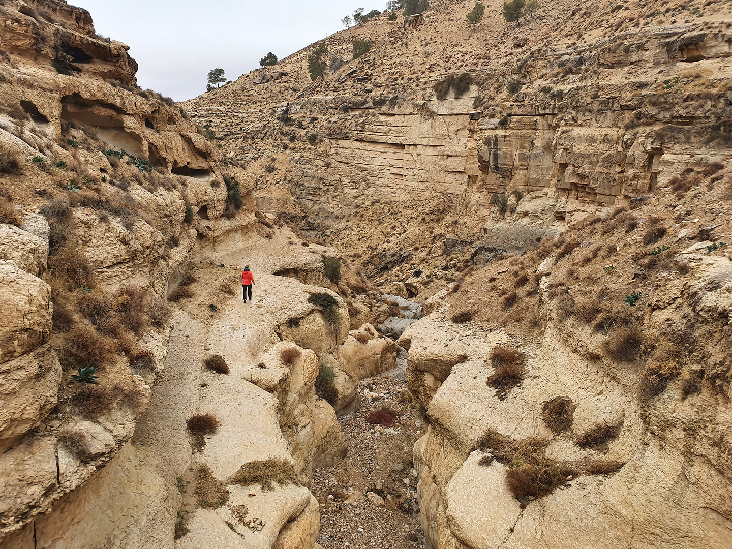 karak-wadi1.jpg