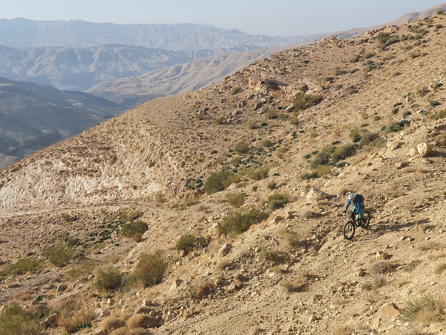 wadihidan-downhill4.jpg