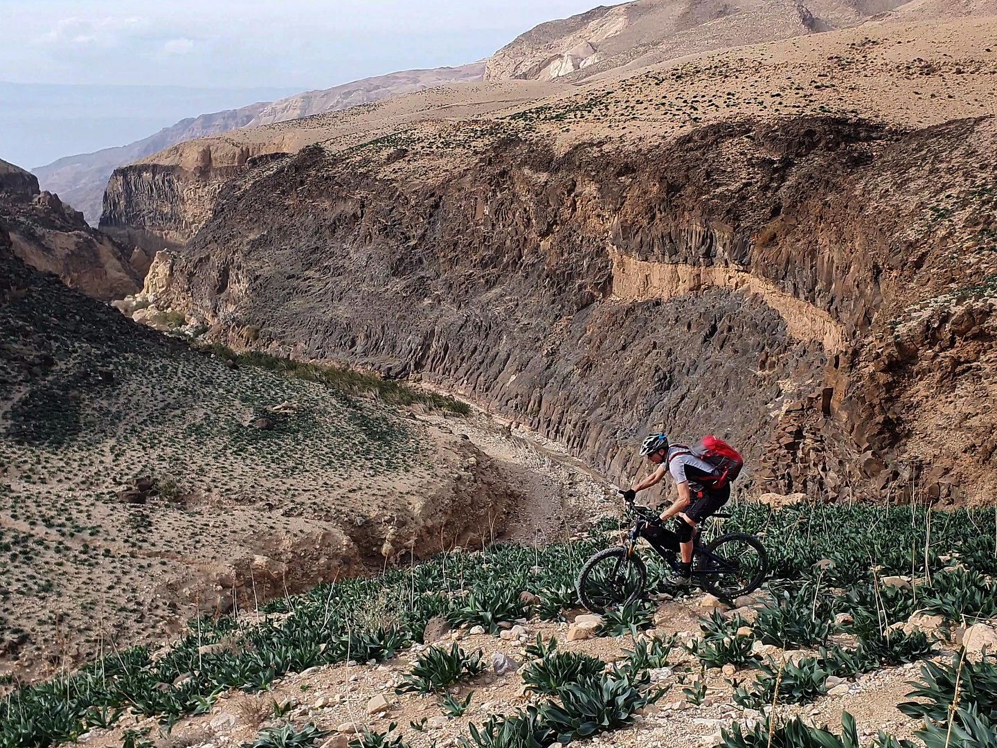 wadimain-trail10.jpg