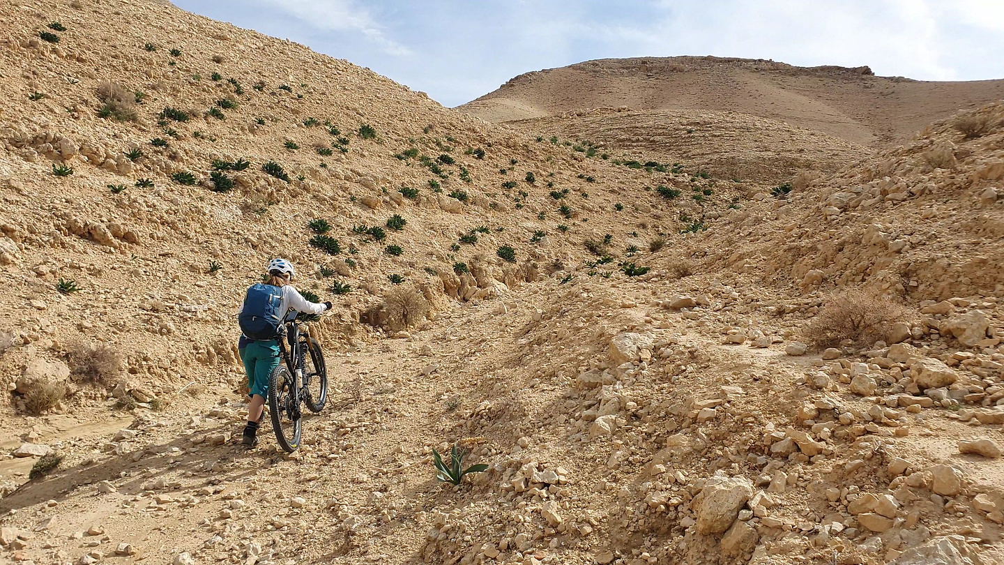 wadimain-uphill1.jpg