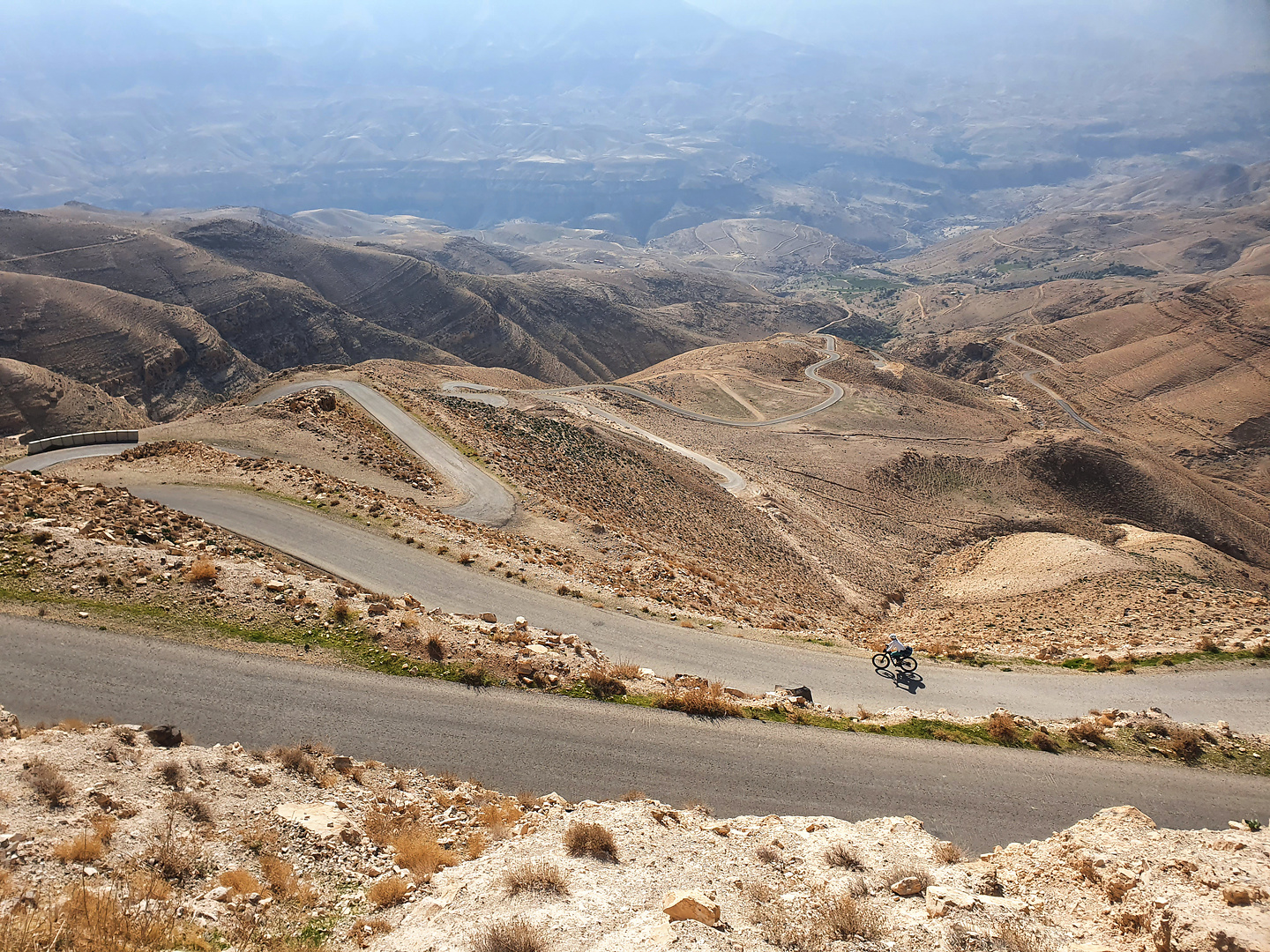 wadimujib-downhill1.jpg