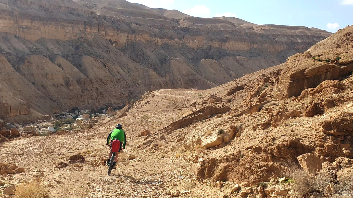 wadimujib-downhill14.jpg