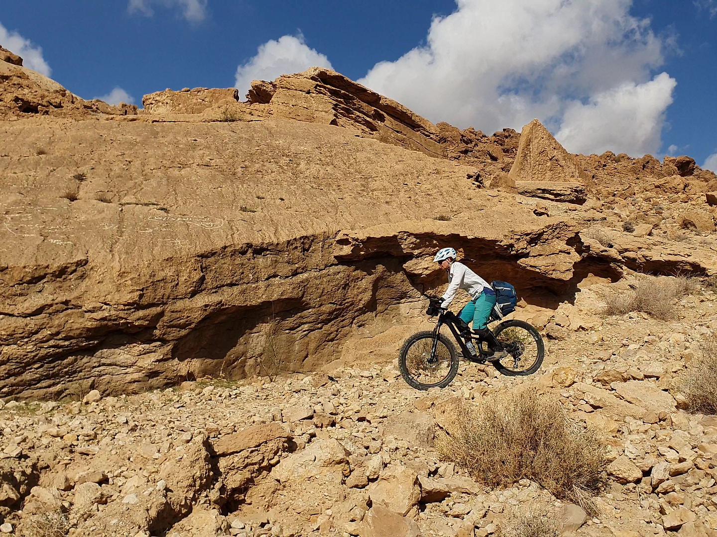 wadimujib-downhill15.jpg