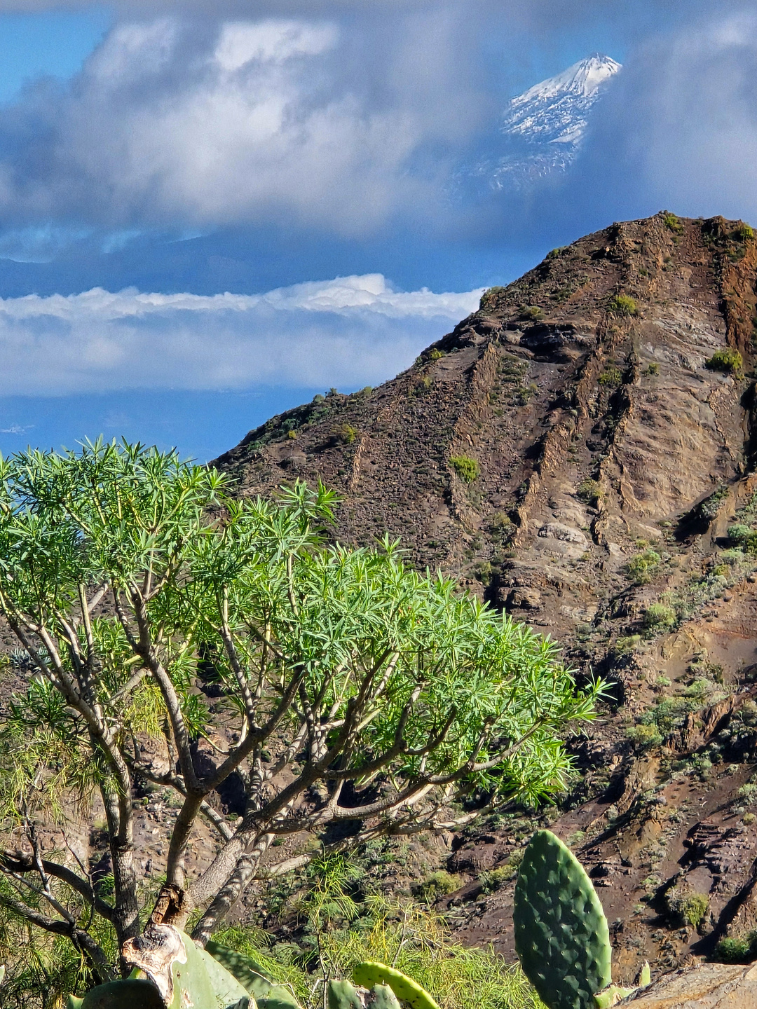 gomera-hermigua9.jpg