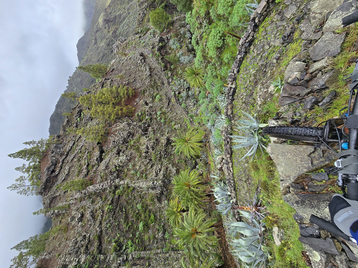 gomera-layas7.jpg