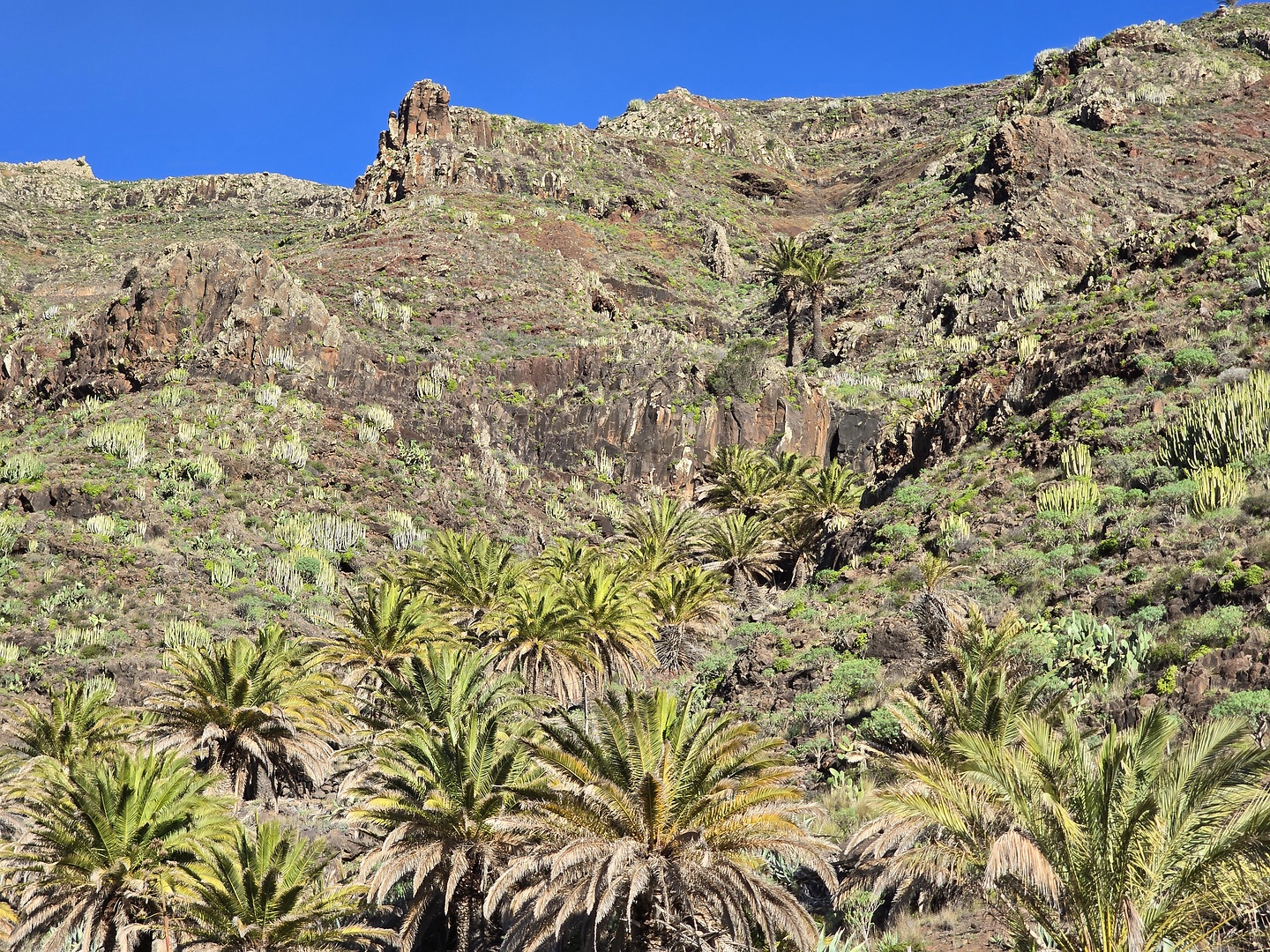 gomera-sansebastian10.jpg