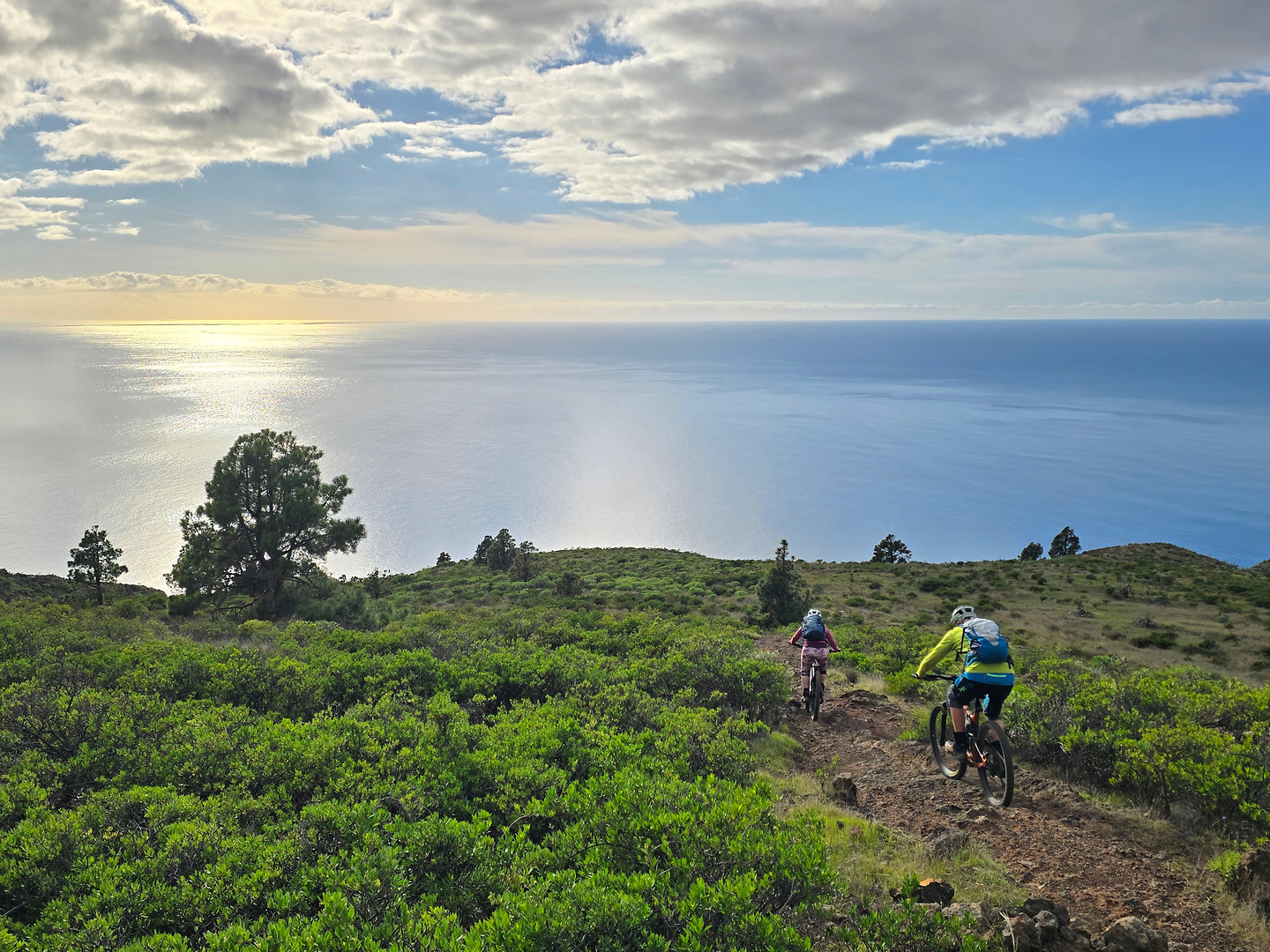 lapalma-candelaria5.jpg