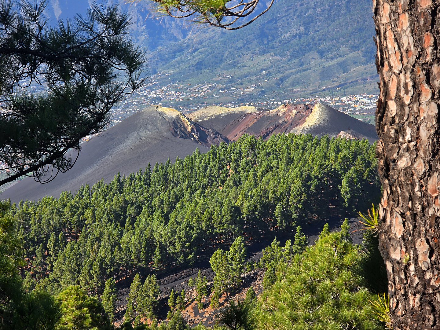 lapalma-llanosjable3.jpg