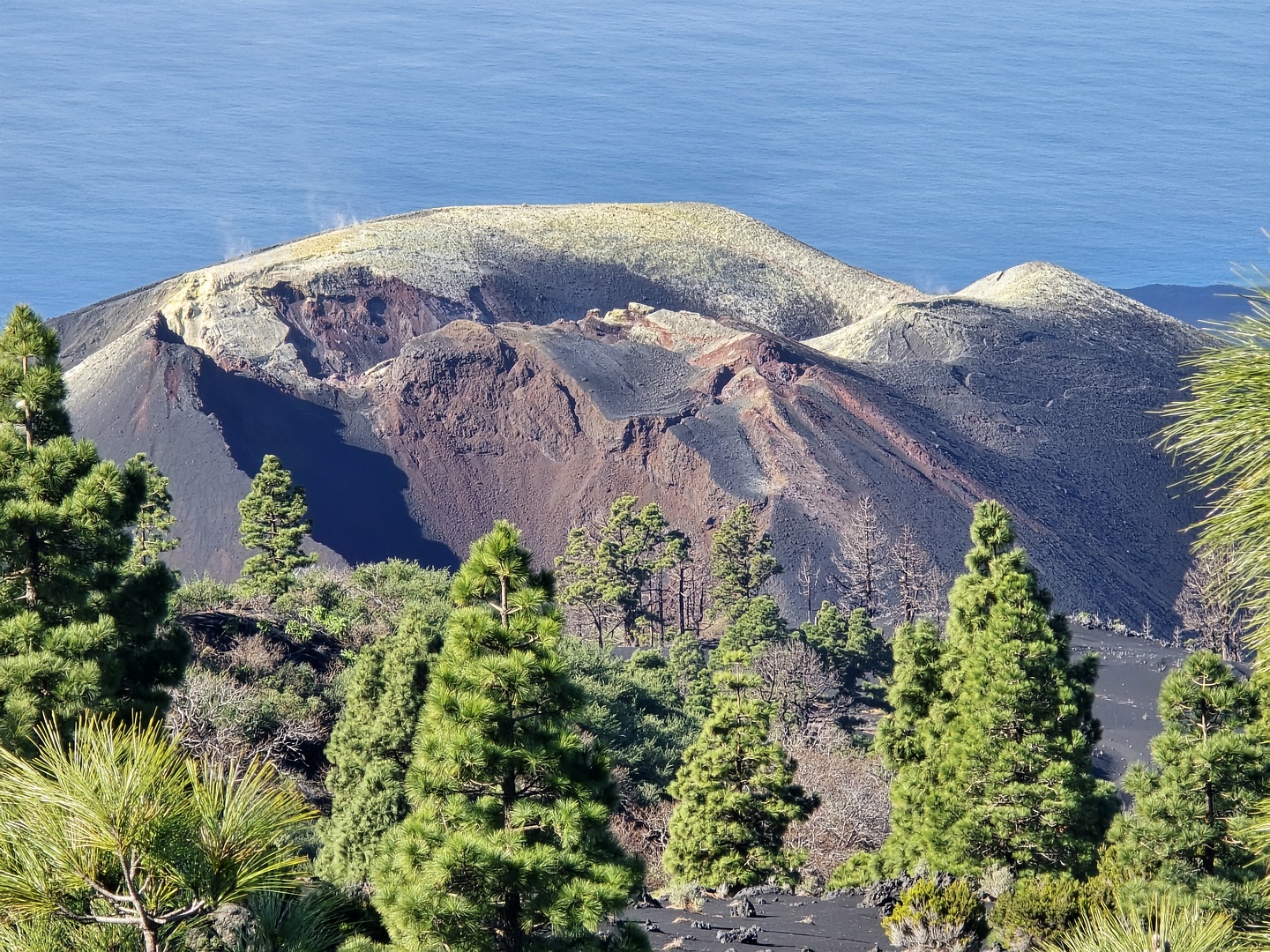 lapalma-pilar4.jpg