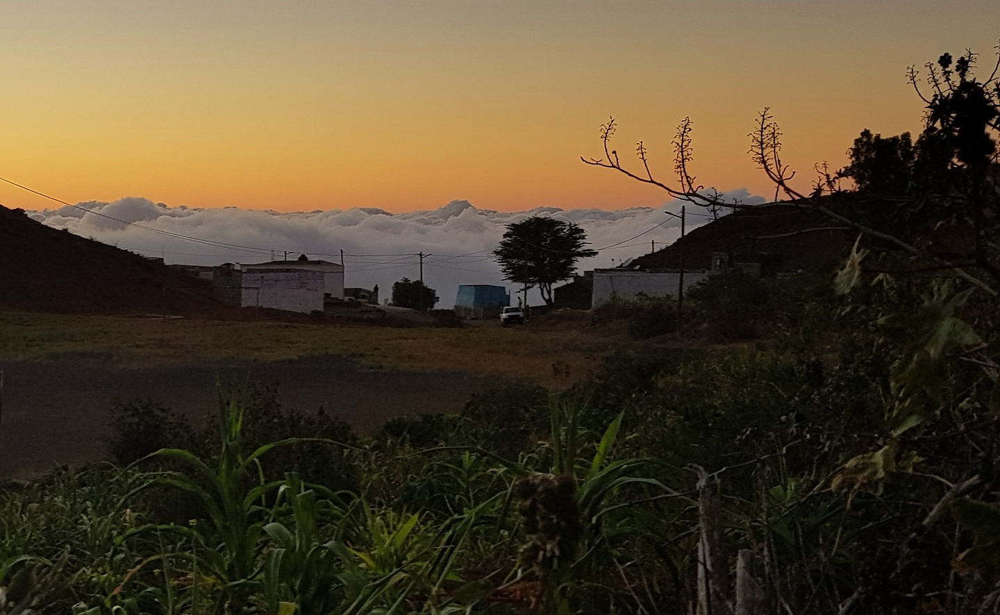 feijoal-sunset.jpg