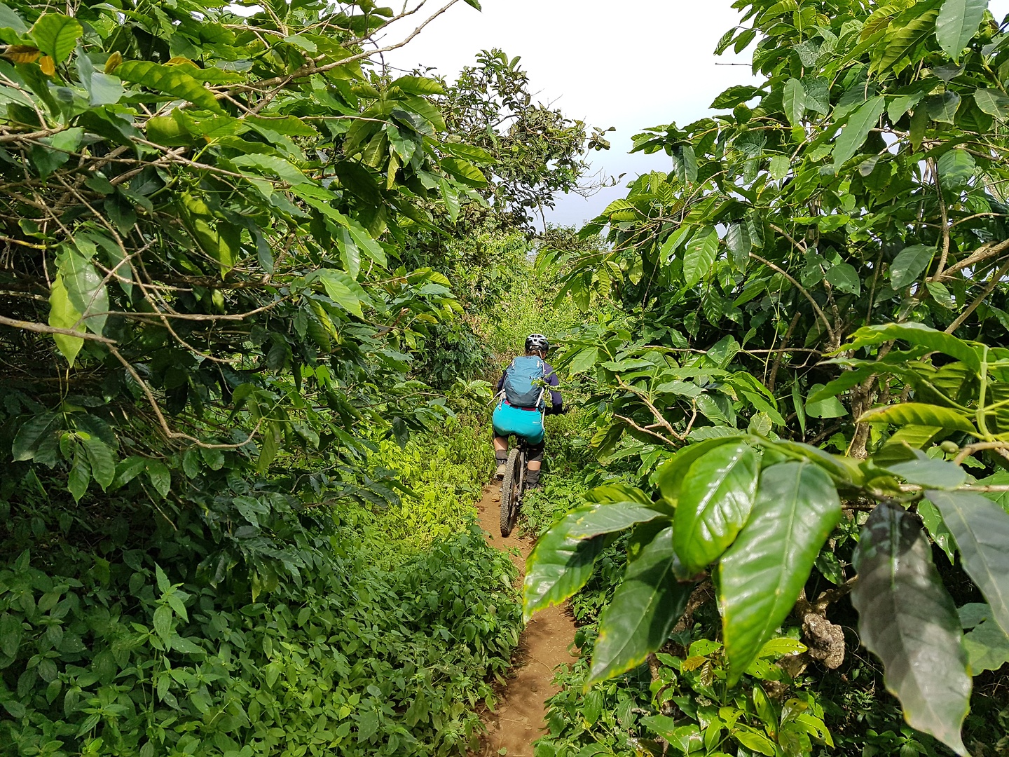fogo-antoniotrail13.jpg
