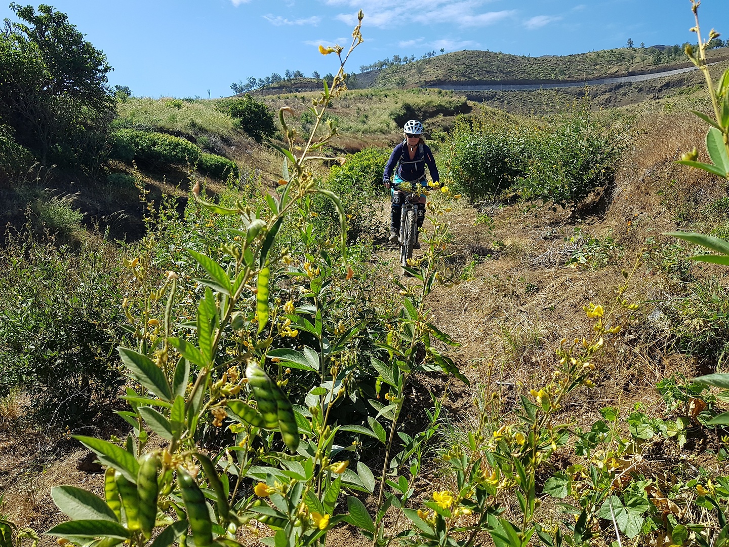 fogo-estanciatrail7.jpg