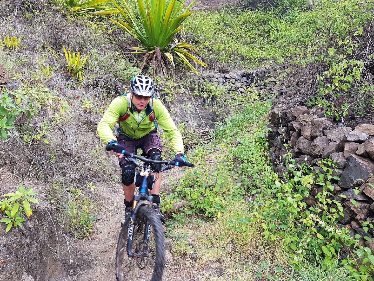 mocho-trail3.jpg