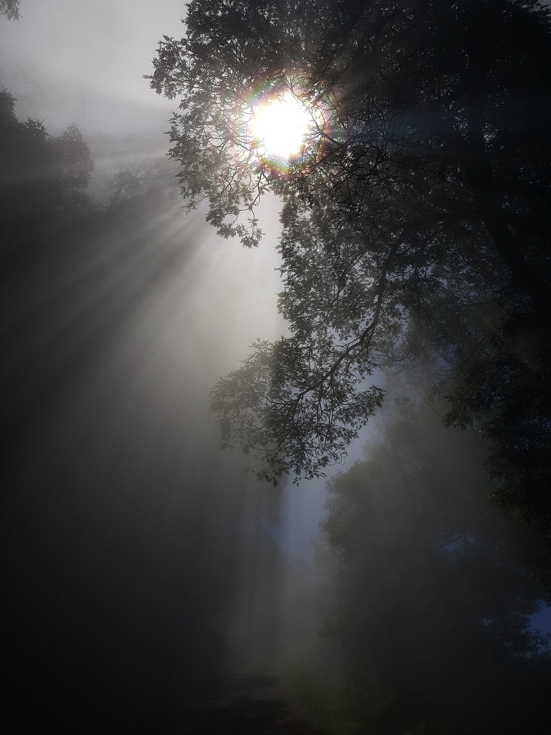 picocruz-cloudsun.jpg