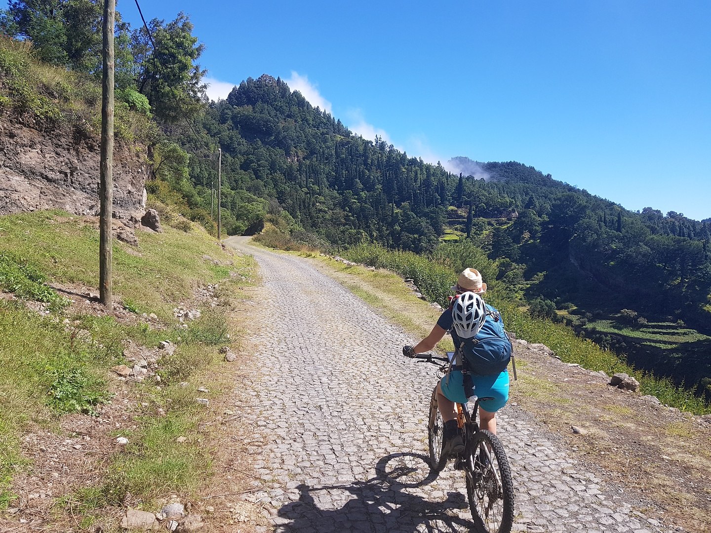 picocruz-uphill1.jpg