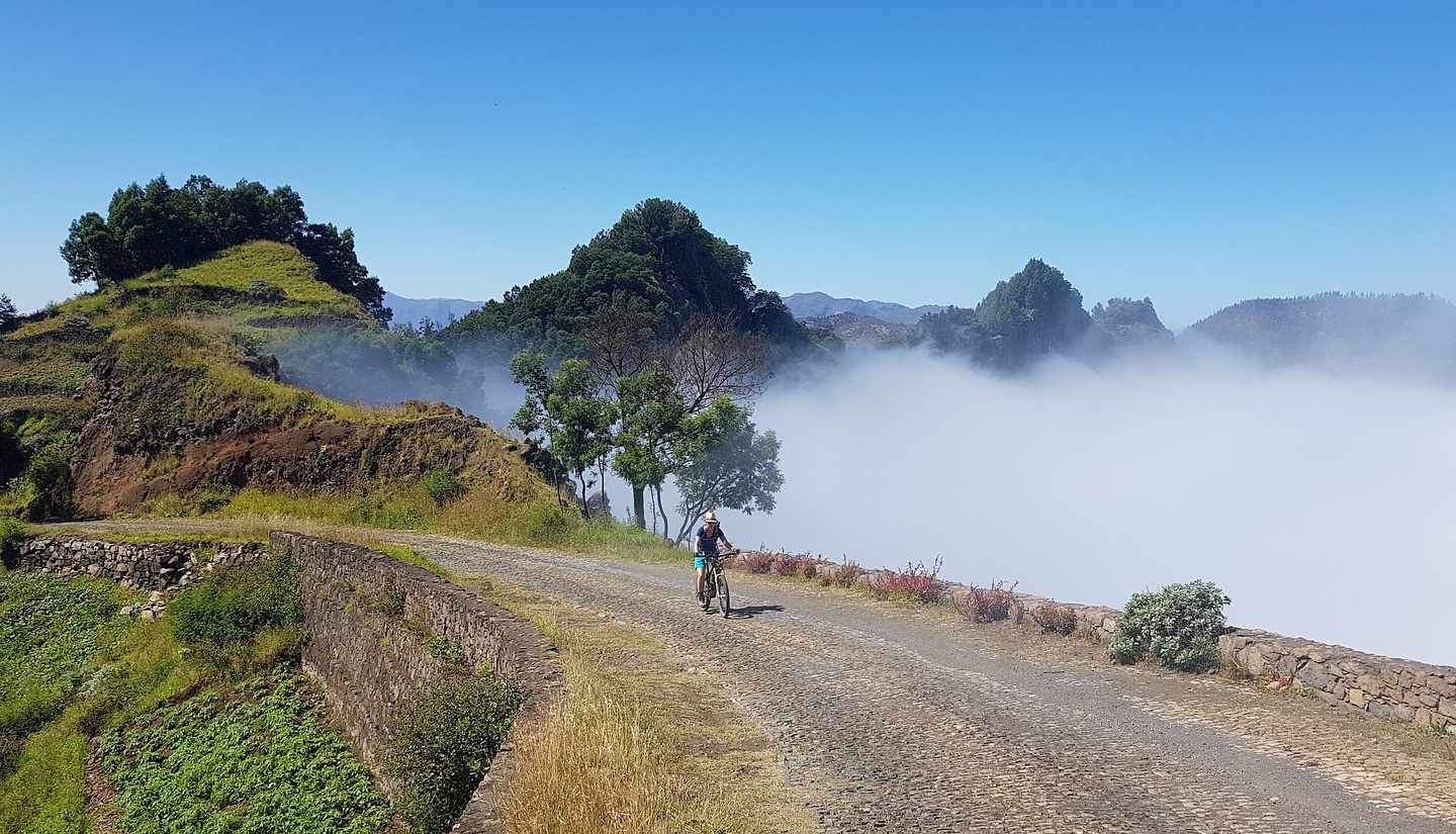 picocruz-uphill2.jpg
