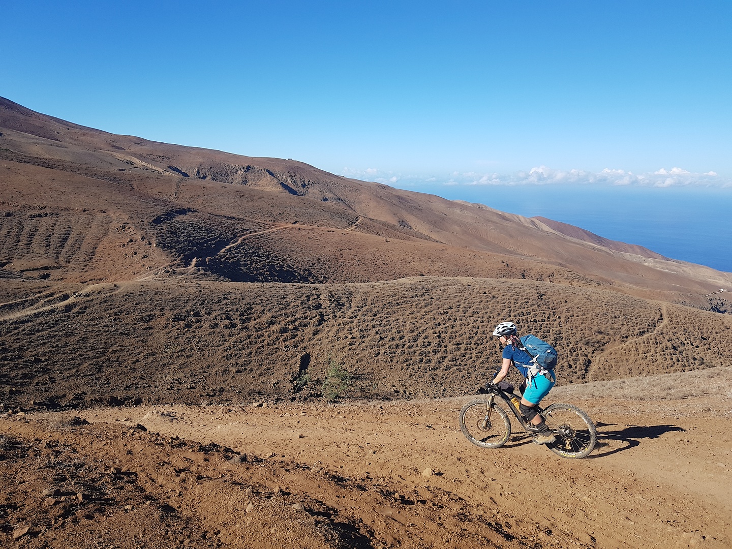 trigo-trail4.jpg