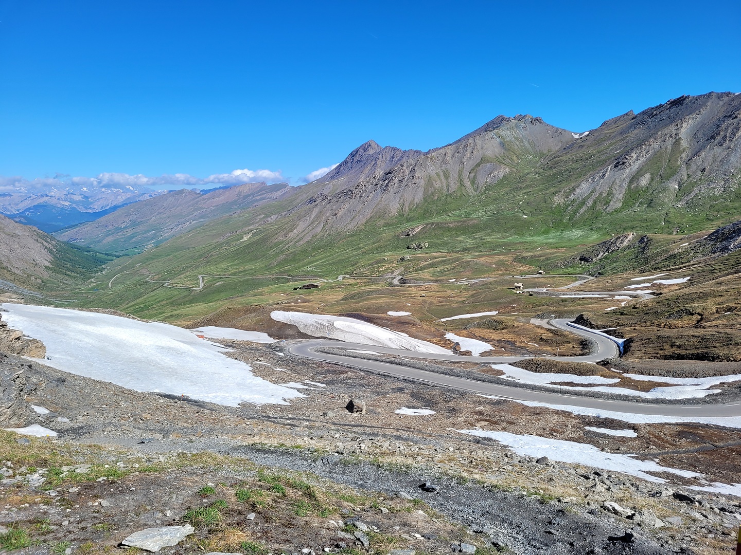 agnello-col3.jpg