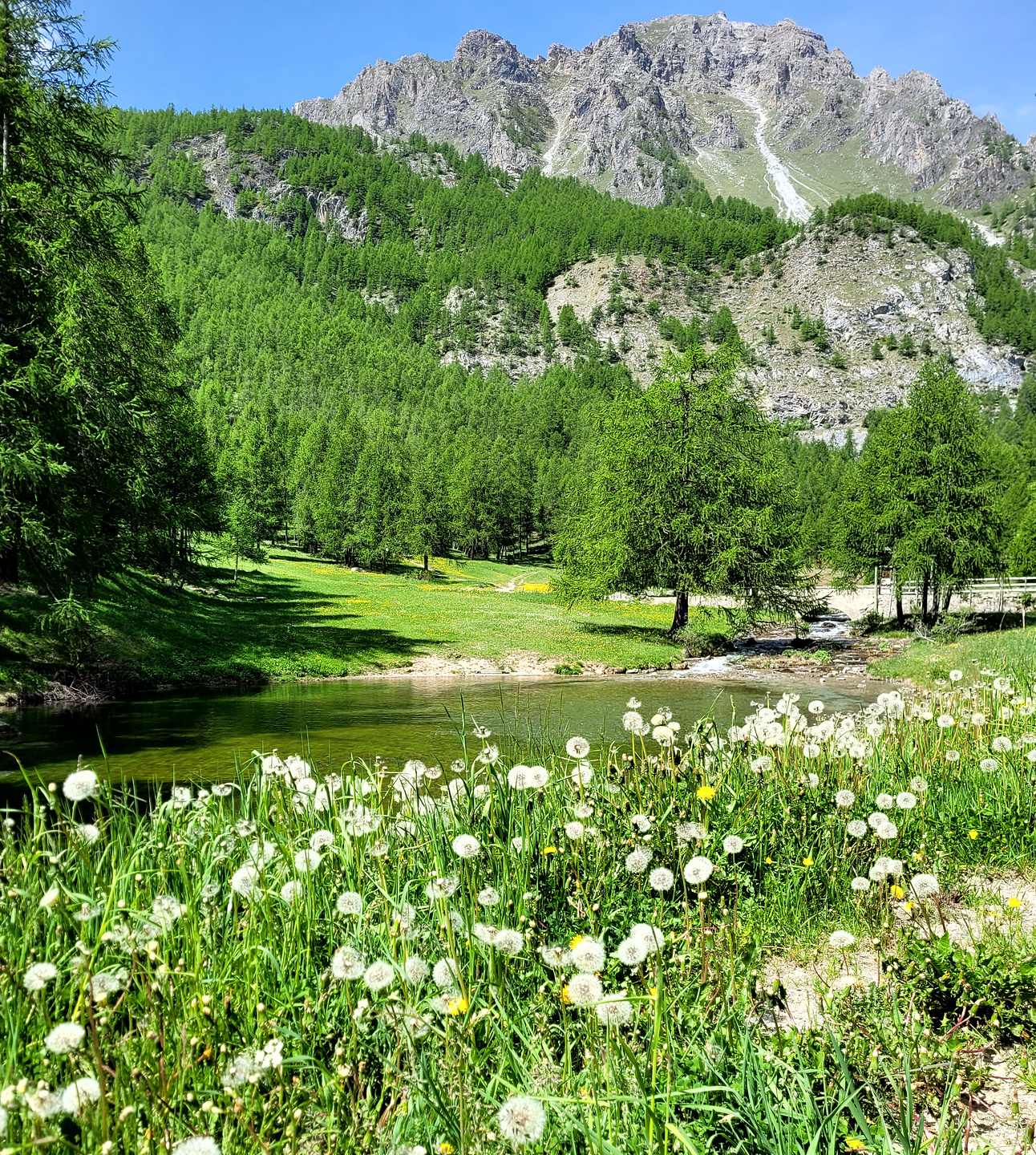 chiappera-mairasorgente.jpg