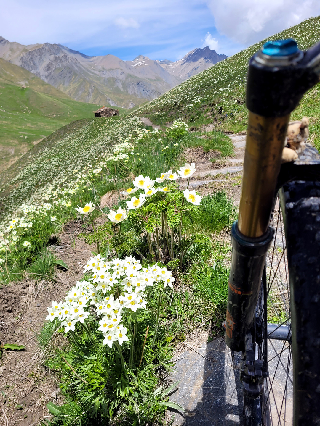 colletta-trail5.jpg