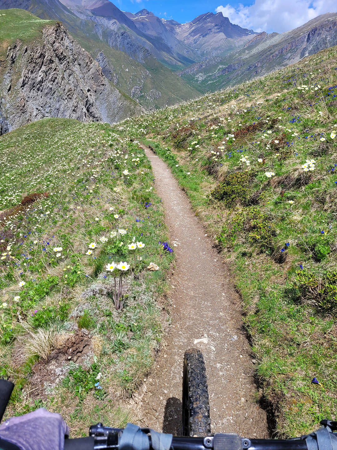 colletta-trail8.jpg