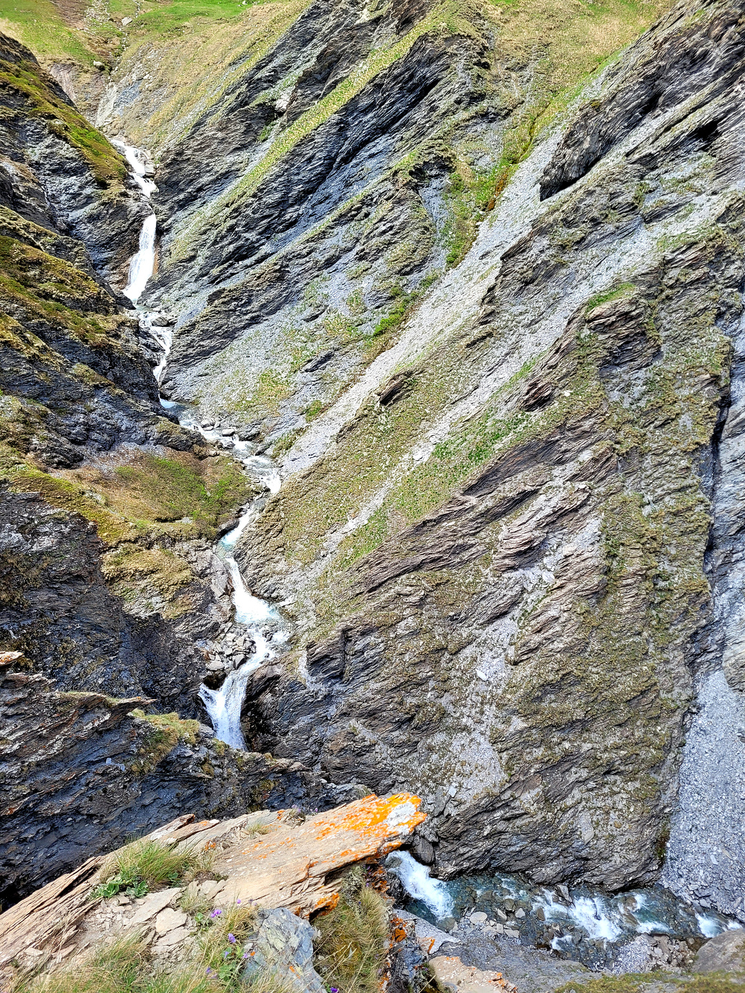 colletta-trail9.jpg