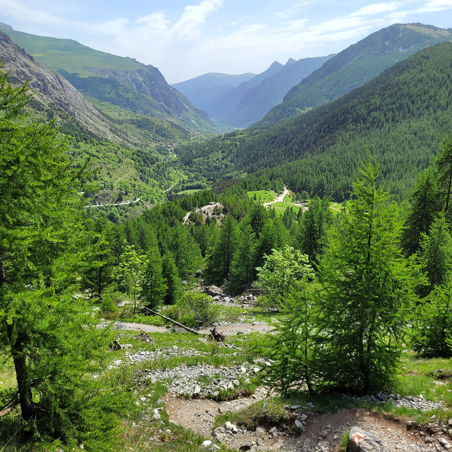 munie-trail19.jpg