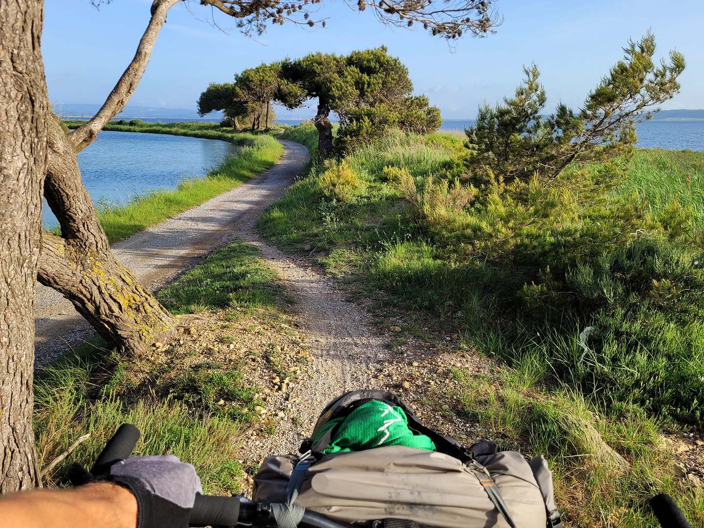 narbonne-cyclepath2.jpg