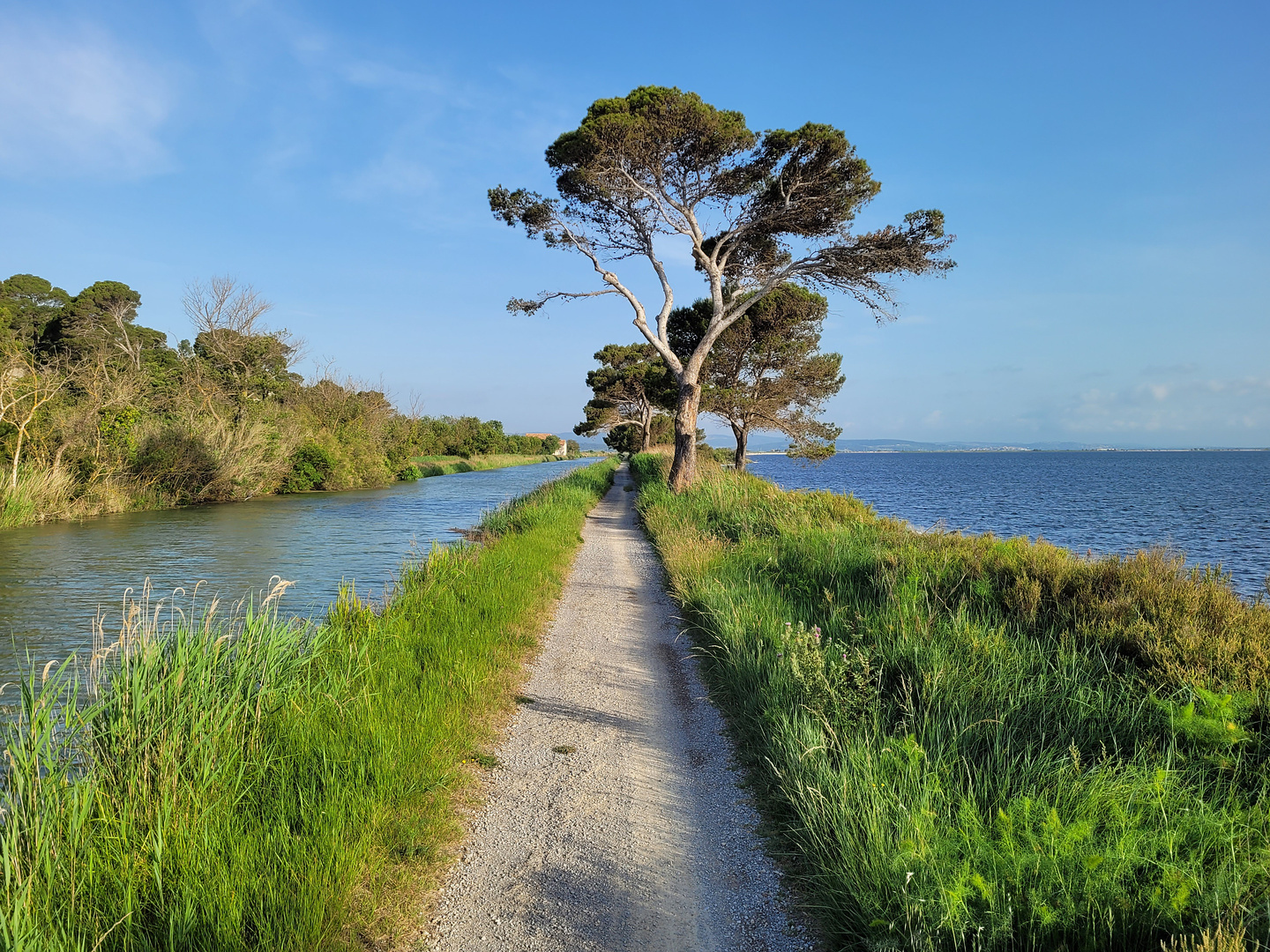 narbonne-cyclepath3.jpg