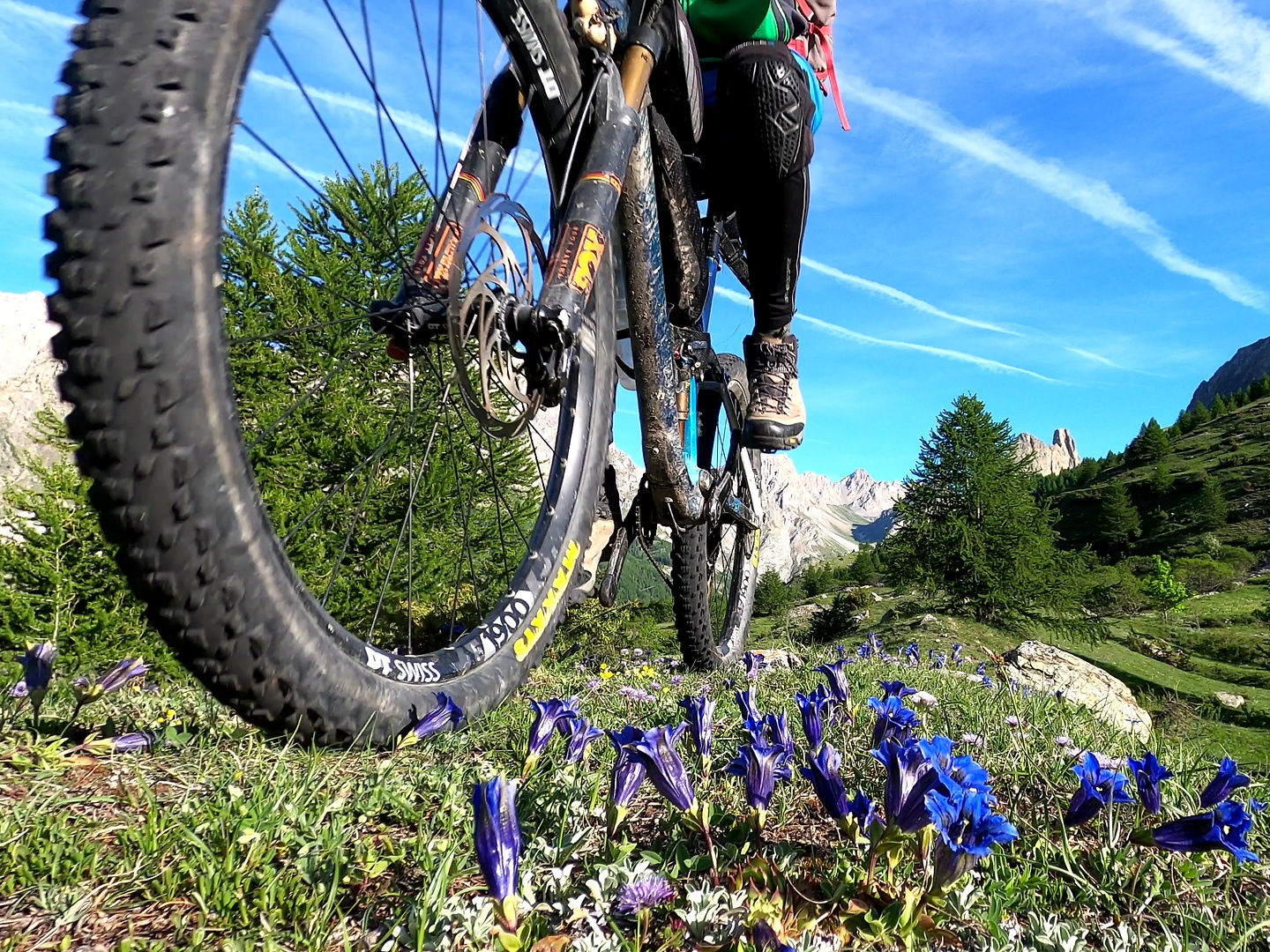 occitano-trail2.jpg