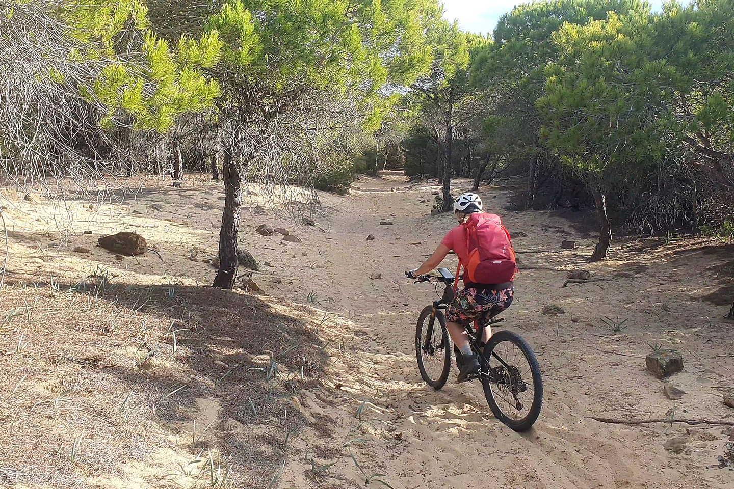 tarifa-trail4.jpg