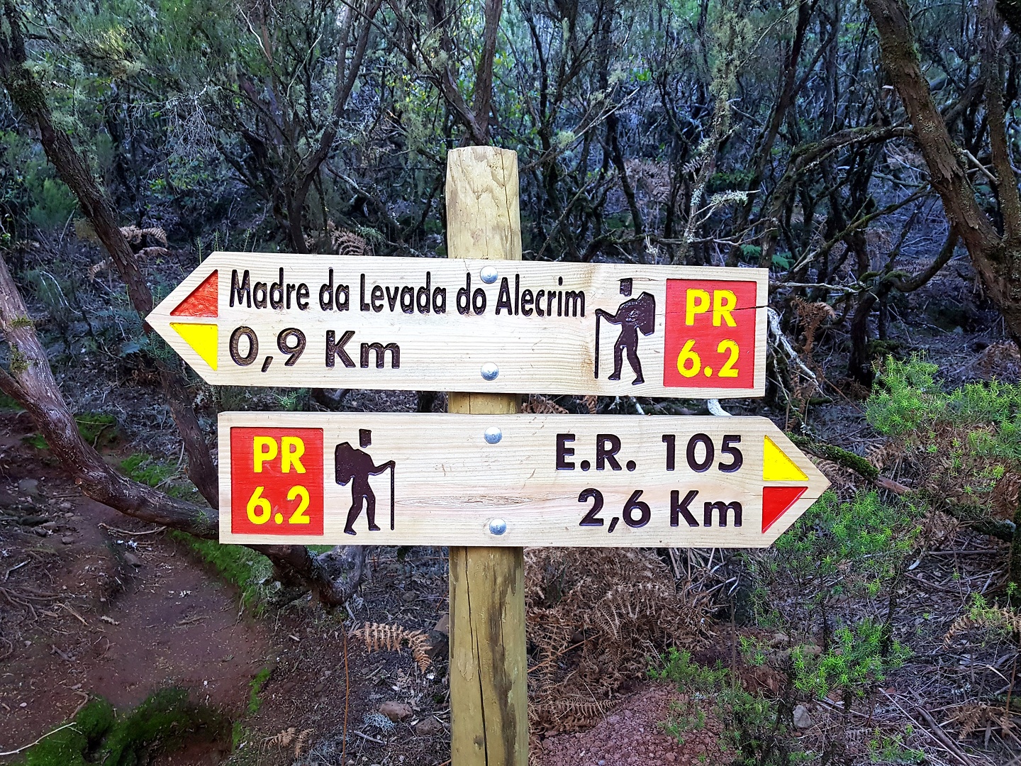 alecrim-trail4.jpg