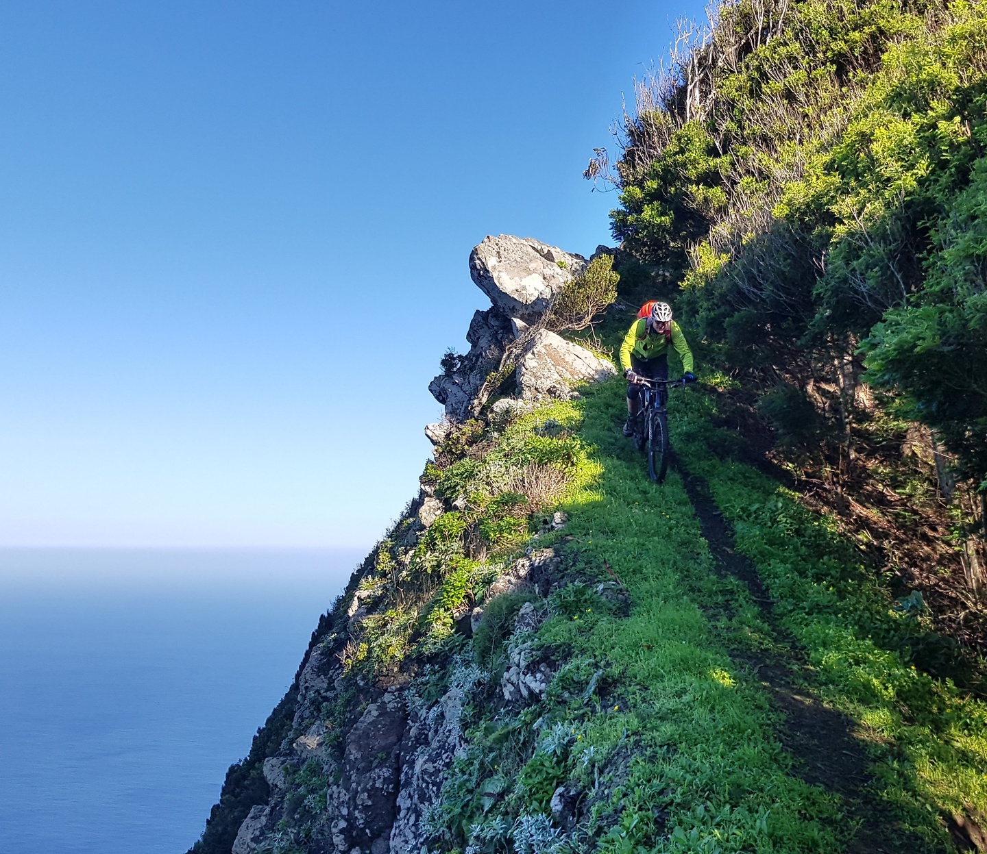 bocarisco-zorrotrail1.jpg