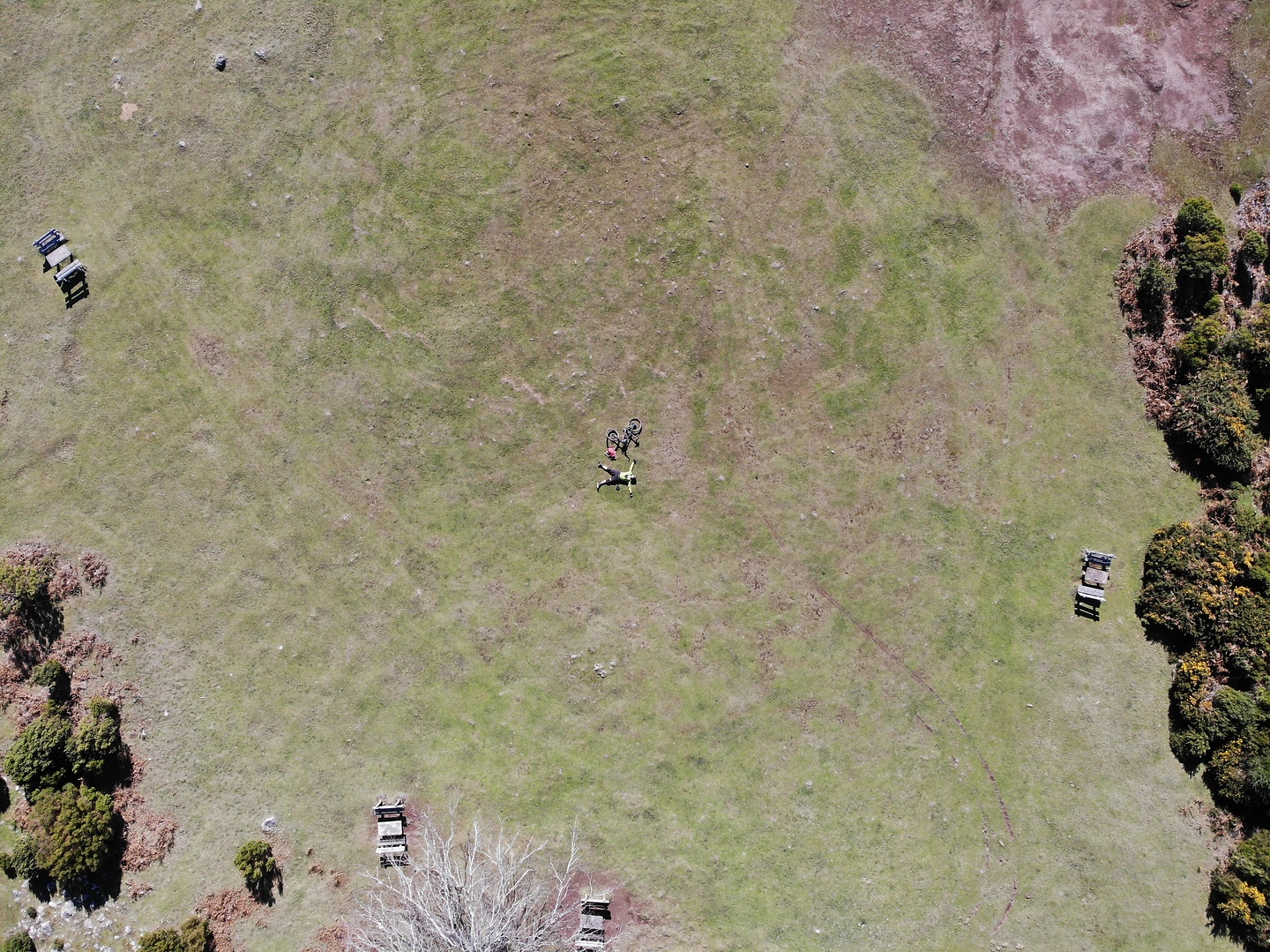 cabras-dronie4.jpg