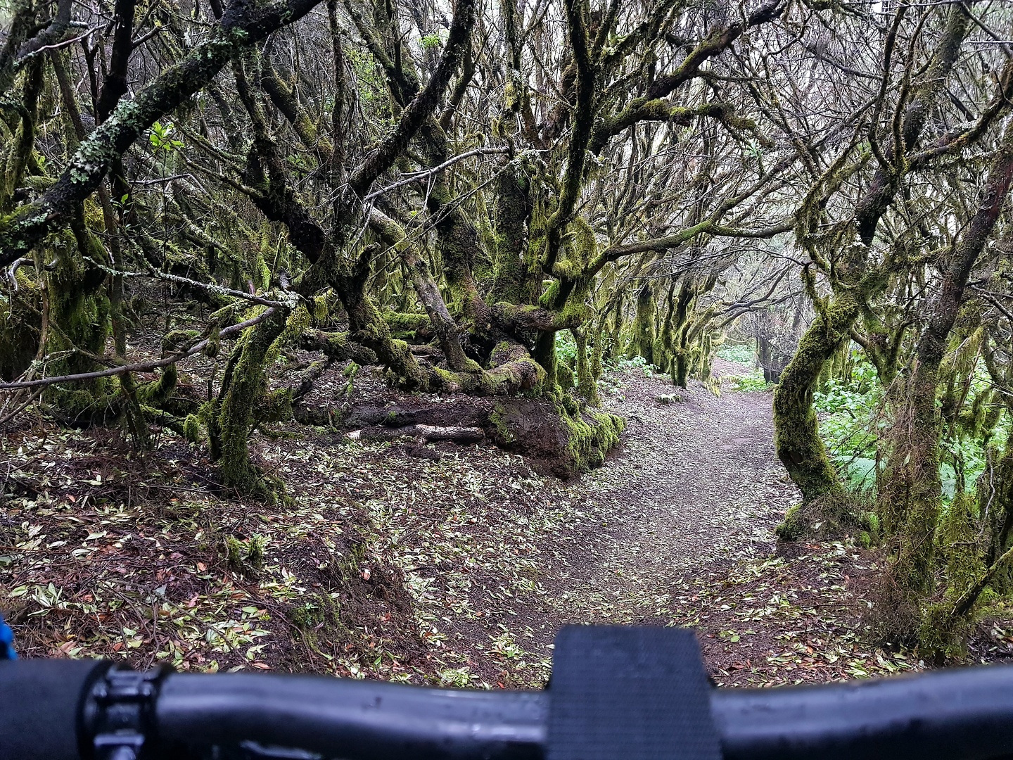cabreras-trail1.jpg