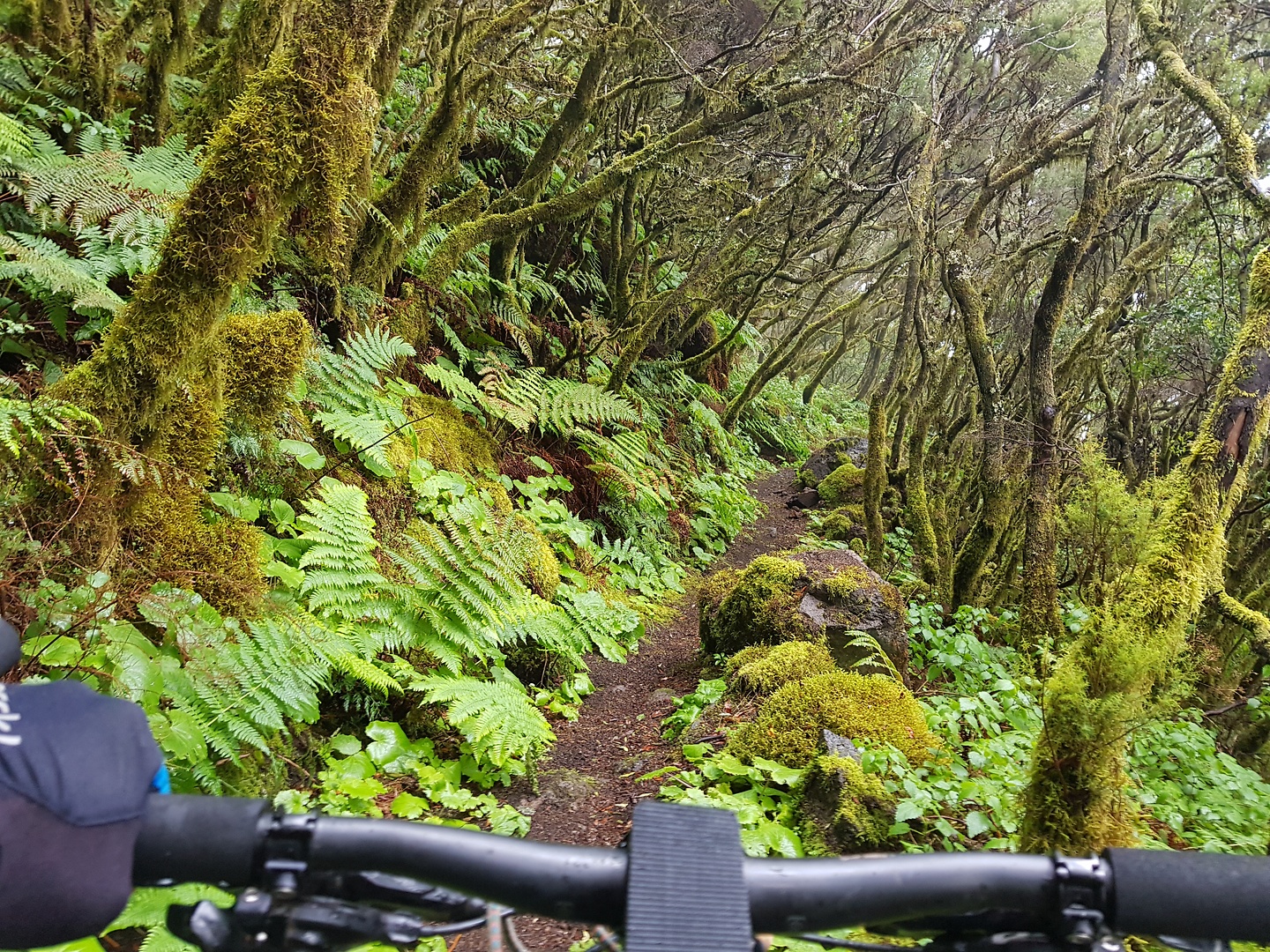 cabreras-trail2.jpg
