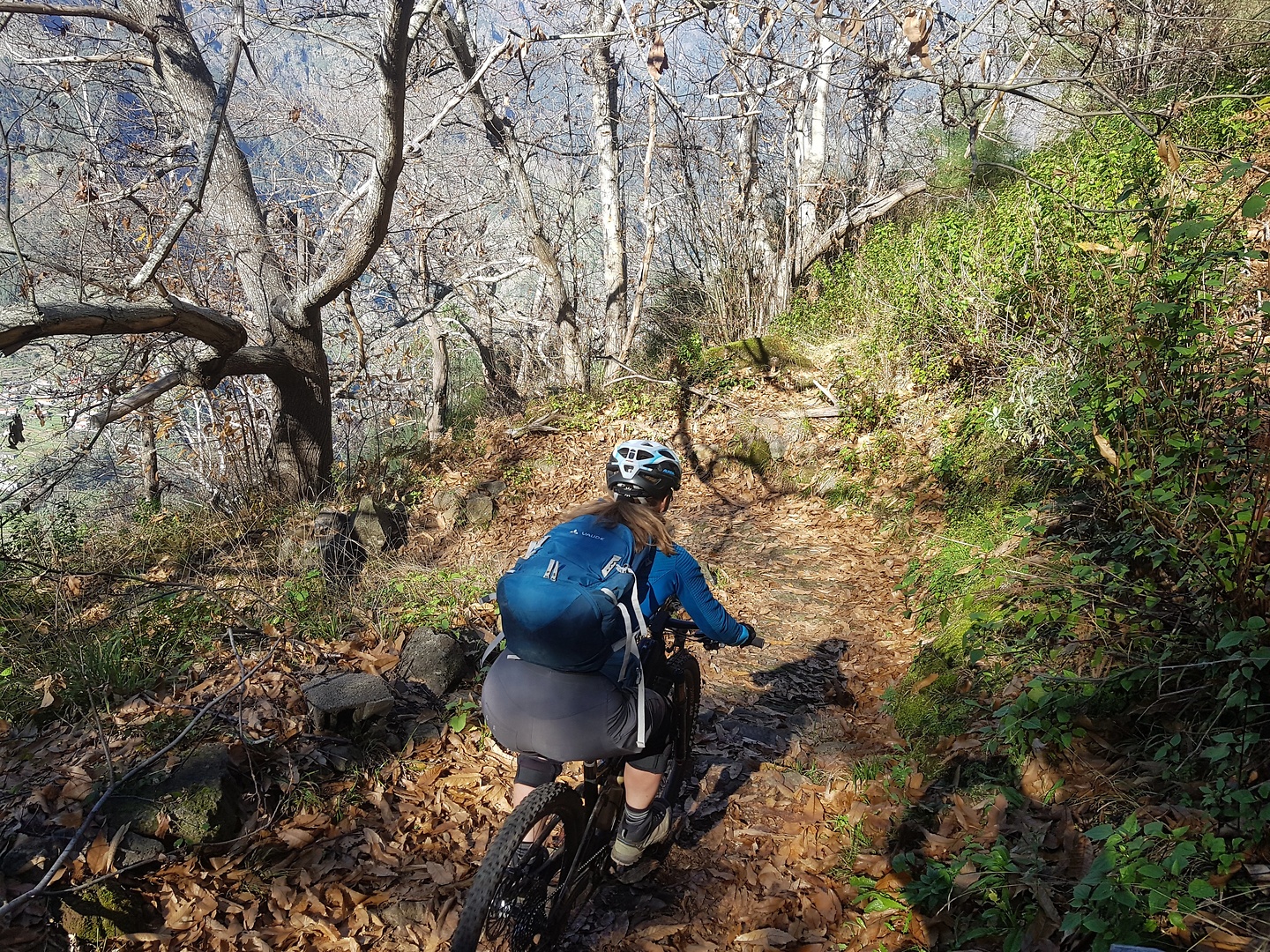 freiras-trail2.jpg