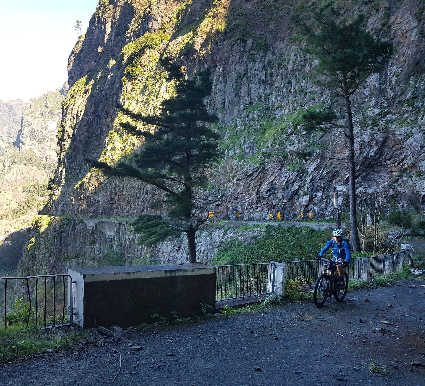 freiras-uphill6.jpg