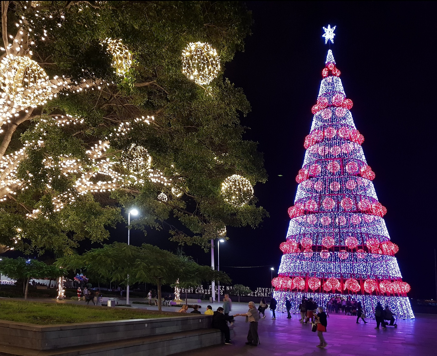 funchal-lights5.jpg